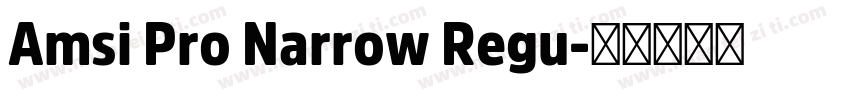 Amsi Pro Narrow Regu字体转换